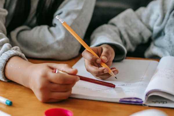 CJA Homeschool Courses Now Available in Florida’s My Scholar Shop!